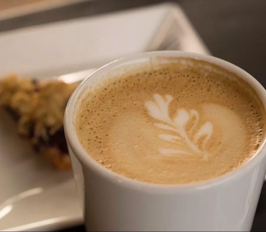 铲屎官新手必看攻略,新手铲屎官必做的10件事