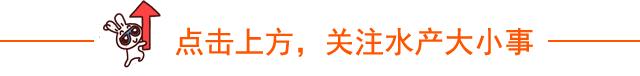 鱼类敏感的24种药,鱼类链球菌敏感药物