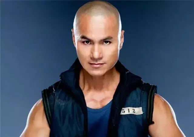 老一代香港武术冠军,2008年香港武术冠军