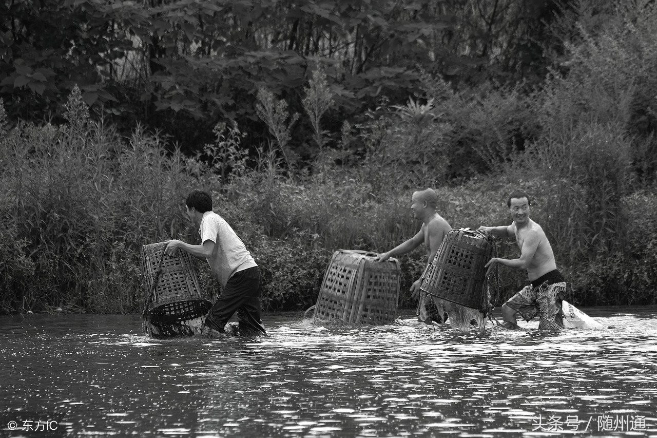 六一儿童节快乐！致我们逝去的童年，儿时回忆之“罩鱼”