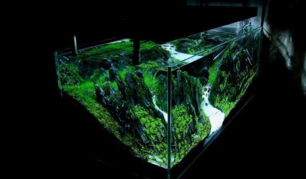 如何布置鱼缸水草造景,峡谷河流鱼缸