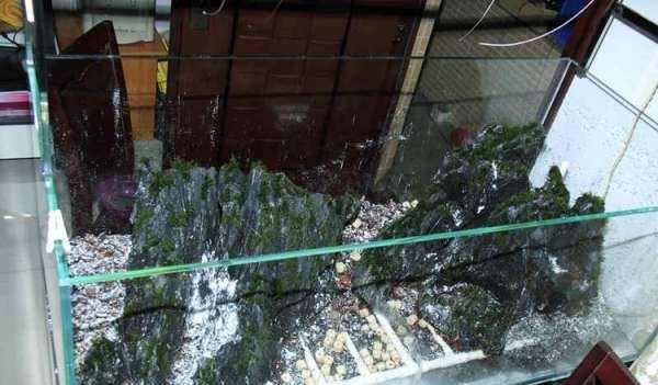 如何布置鱼缸水草造景,峡谷河流鱼缸