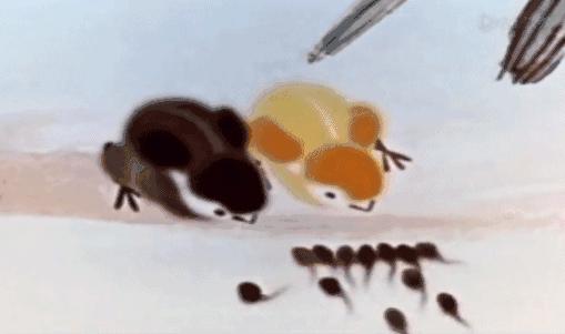 暴露年龄的时候视频,暴露年龄的动画