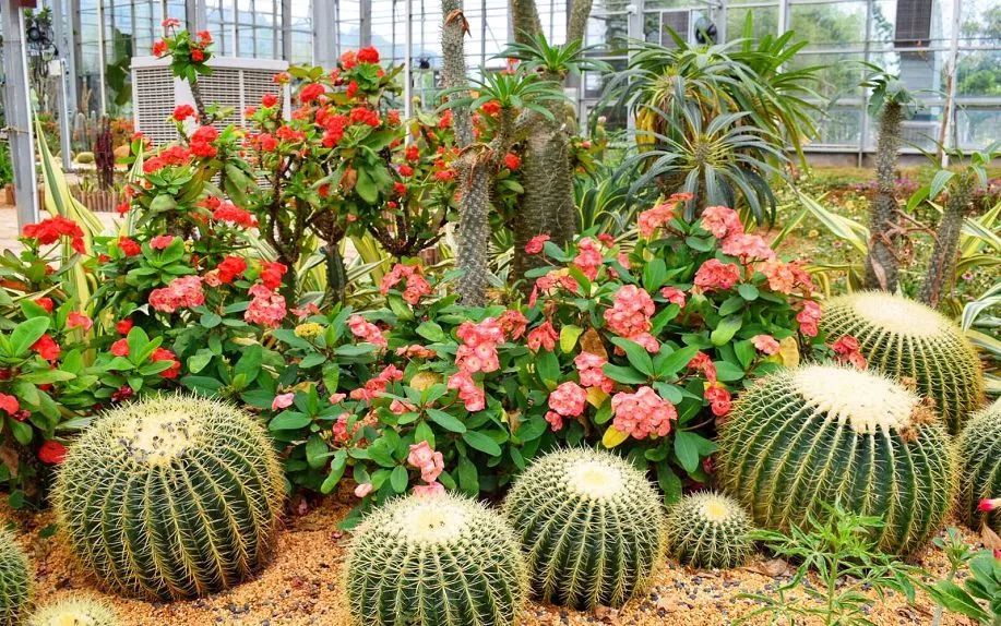 广州户外亲子游玩好去处,广州适合亲子旅游的地方