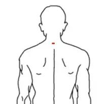 女人吃艾草茶有哪些作用,女人吃艾叶有什么好处呢