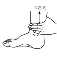 女人吃艾草茶有哪些作用,女人吃艾叶有什么好处呢