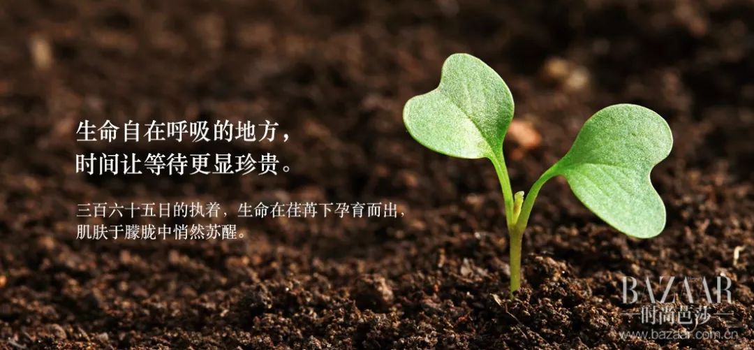 想要拥有一个好肌肤,想要拥有完美肌肤吗