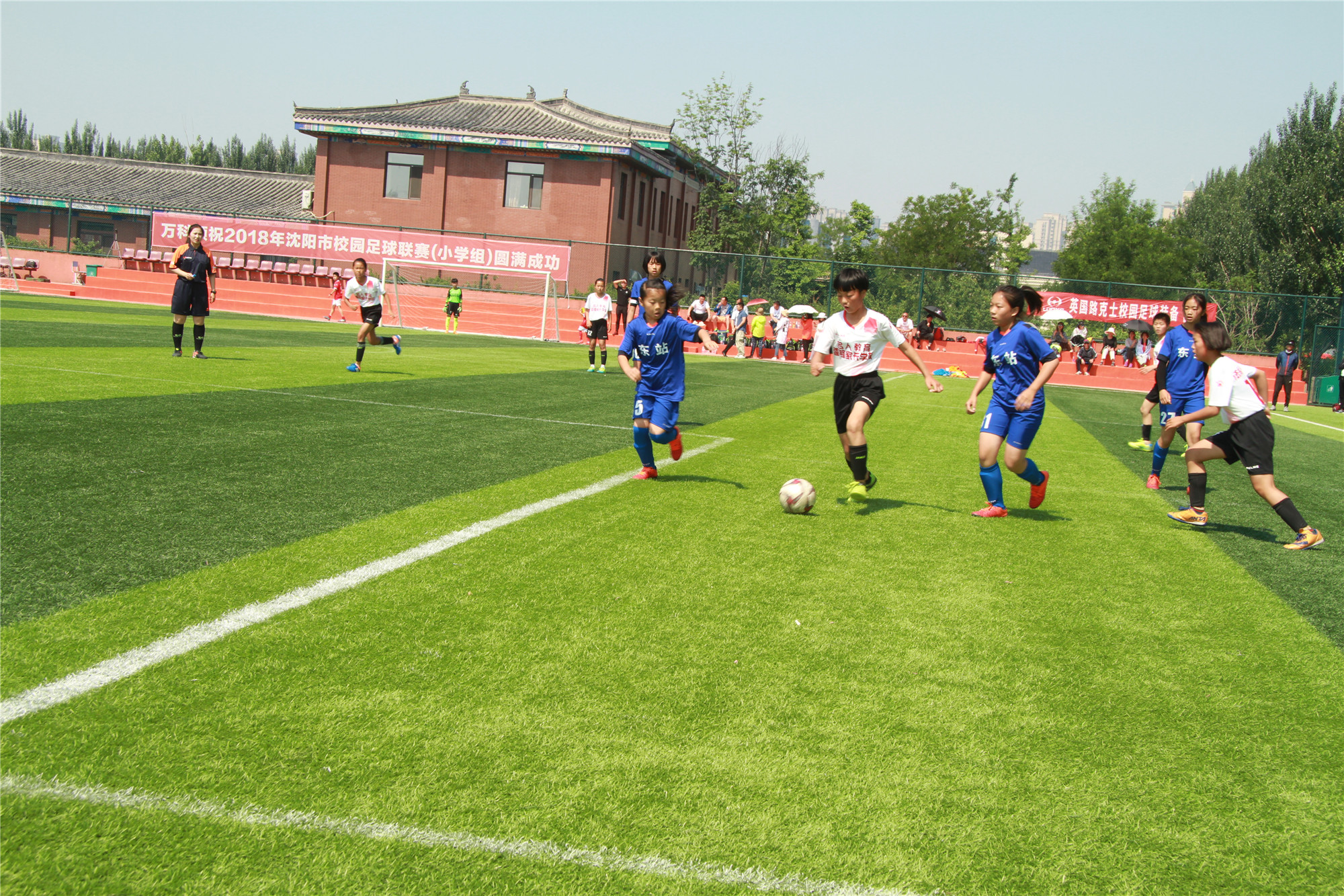 沈阳女子足球队,法库县卧牛石小学足球