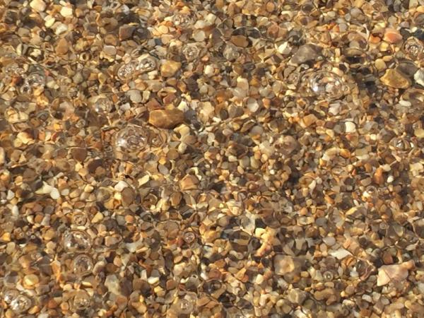 贝加尔湖旅行照片,俄罗斯贝加尔湖游记