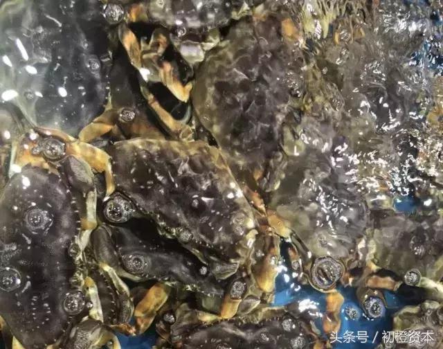 阿里巴巴投资20亿,阿里巴巴投资15亿商汤科技