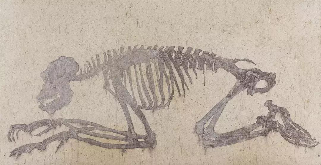 超越预知的可能——谭军谈纸本绘画综合技法