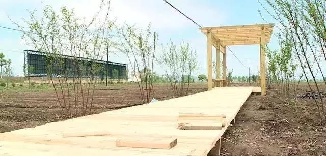 这个季节珲春去哪玩,这个夏天一定要去玩