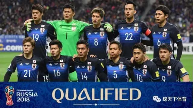 2018俄罗斯世界杯日本vs塞内加尔,2018俄罗斯世界杯日本vs波兰