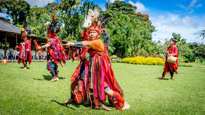 美娜多潜水圣地,印尼美娜多海豚潜水