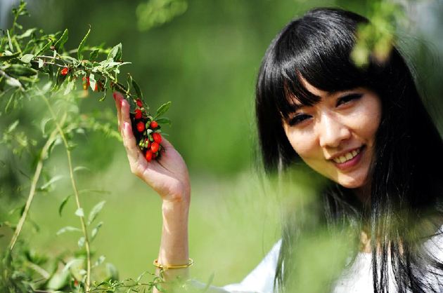 什么时间吃枸杞子加鸡蛋最好,枸杞子一天吃多少粒最好女人