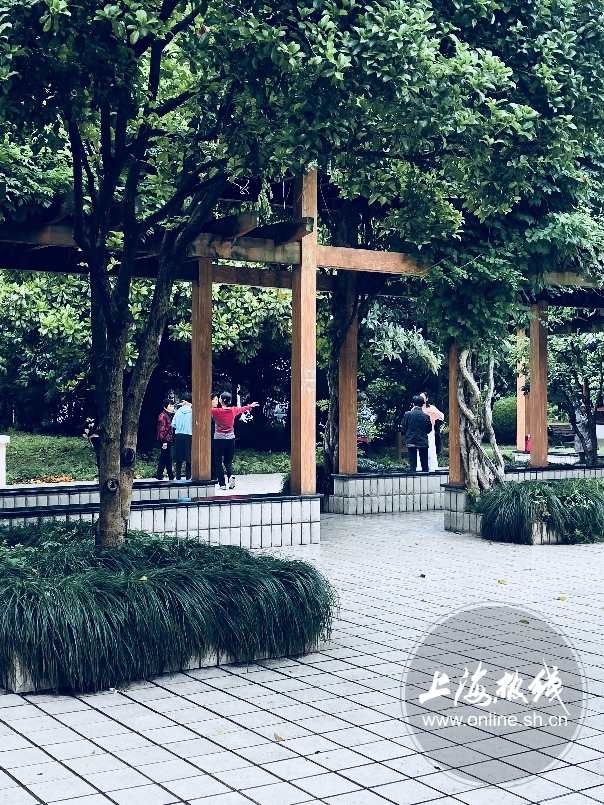 绿树成荫景色宜人清新空气,绿树成荫环境优美空气清新