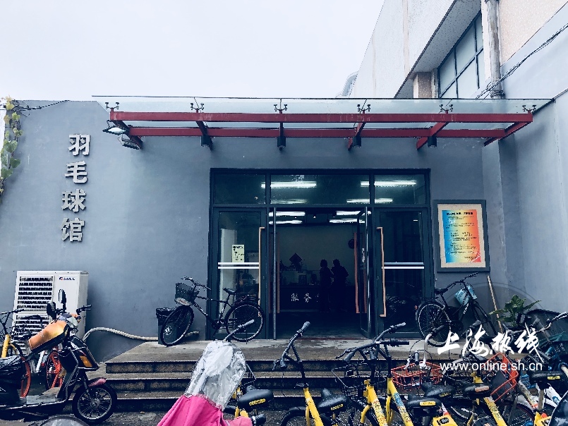 绿树成荫景色宜人清新空气,绿树成荫环境优美空气清新