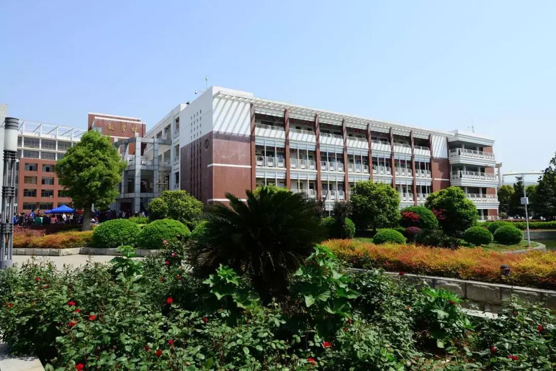 2小时收费7000元！武汉这所学校被多个培优机构疯狂包围！记者探秘