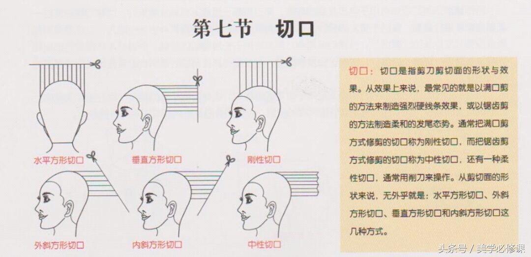 剪发的修剪技巧视频,剪发技巧梳理发型
