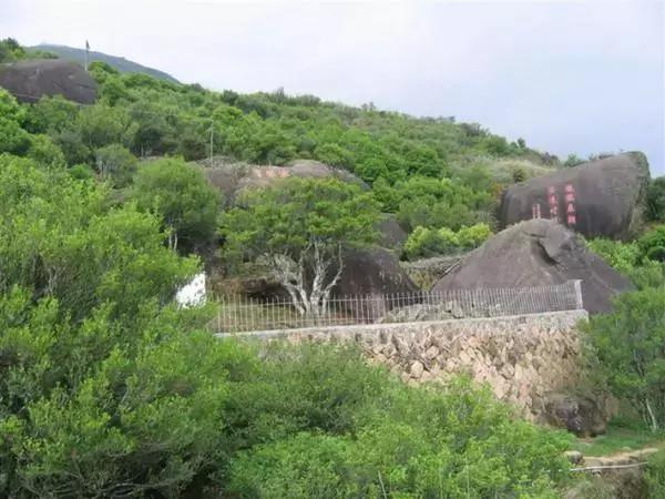 中国十大土豪茶,喝一口几万块都没了!