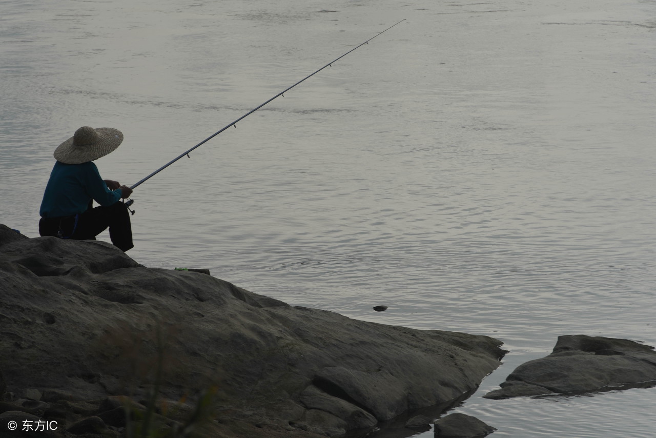 水库钓草鱼的技巧和方法,水库钓鱼用什么饵料钓鲤鱼草鱼