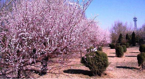 83版射雕英雄传拍摄地景点,83版射雕桃花岛在哪取景