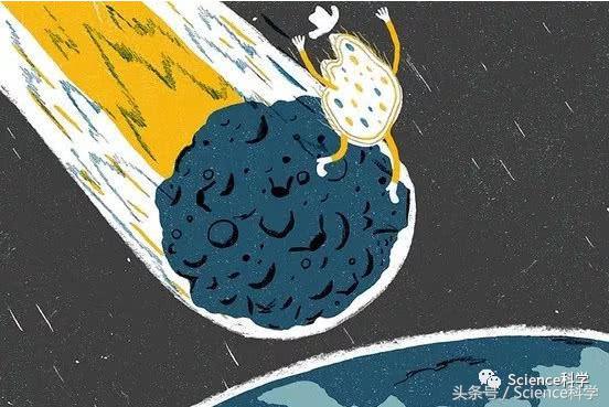 物种起源和进化,物种起源和人类的起源