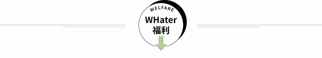 武汉汉口江滩芦苇花,秋高气爽去汉口江滩赏花