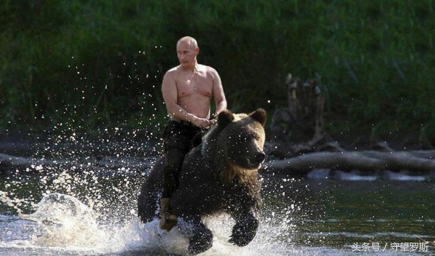 普京被采访照片,普京面对镜头照片