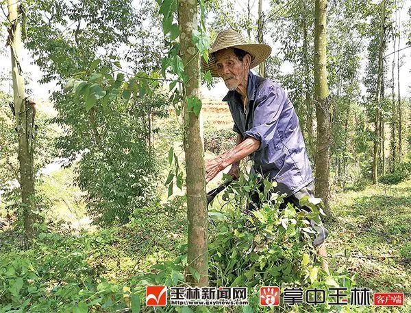 2018年感动瞬间合集,2018年感人瞬间