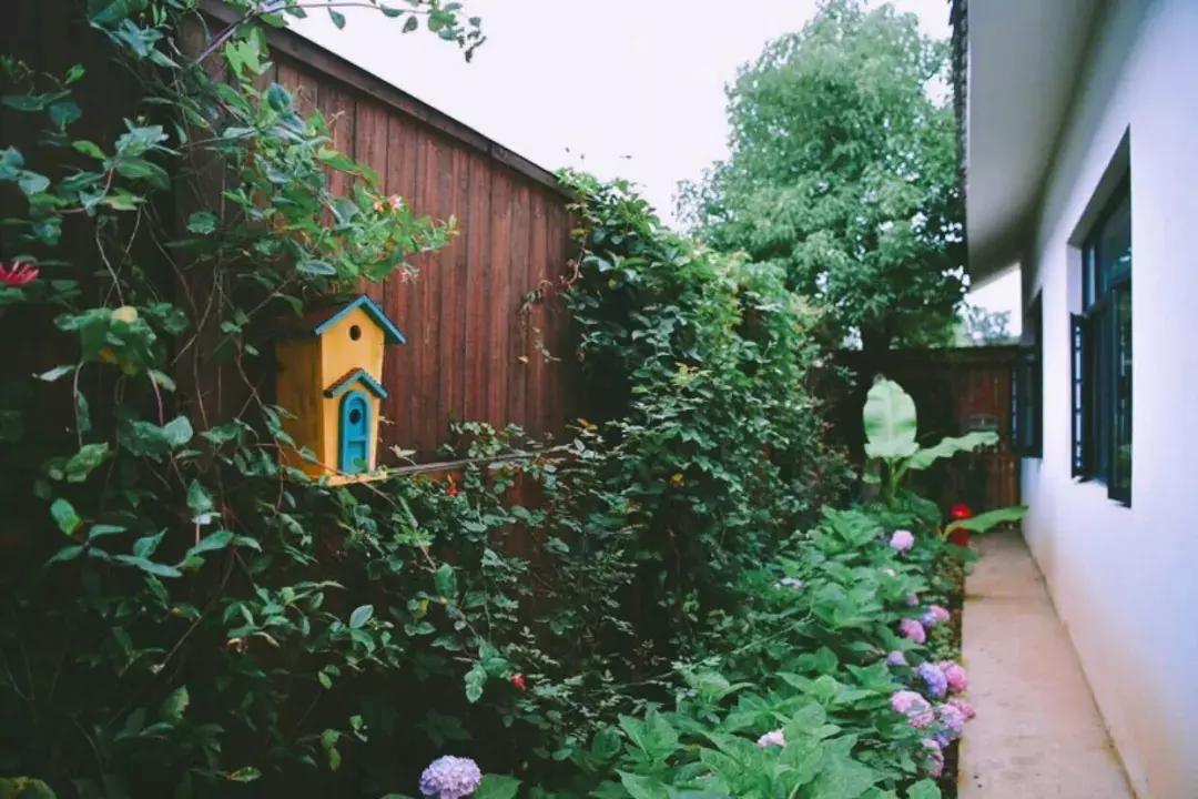 南京20分钟车程外的不老村，咖啡屋、书吧、酒吧，周末度假好去处