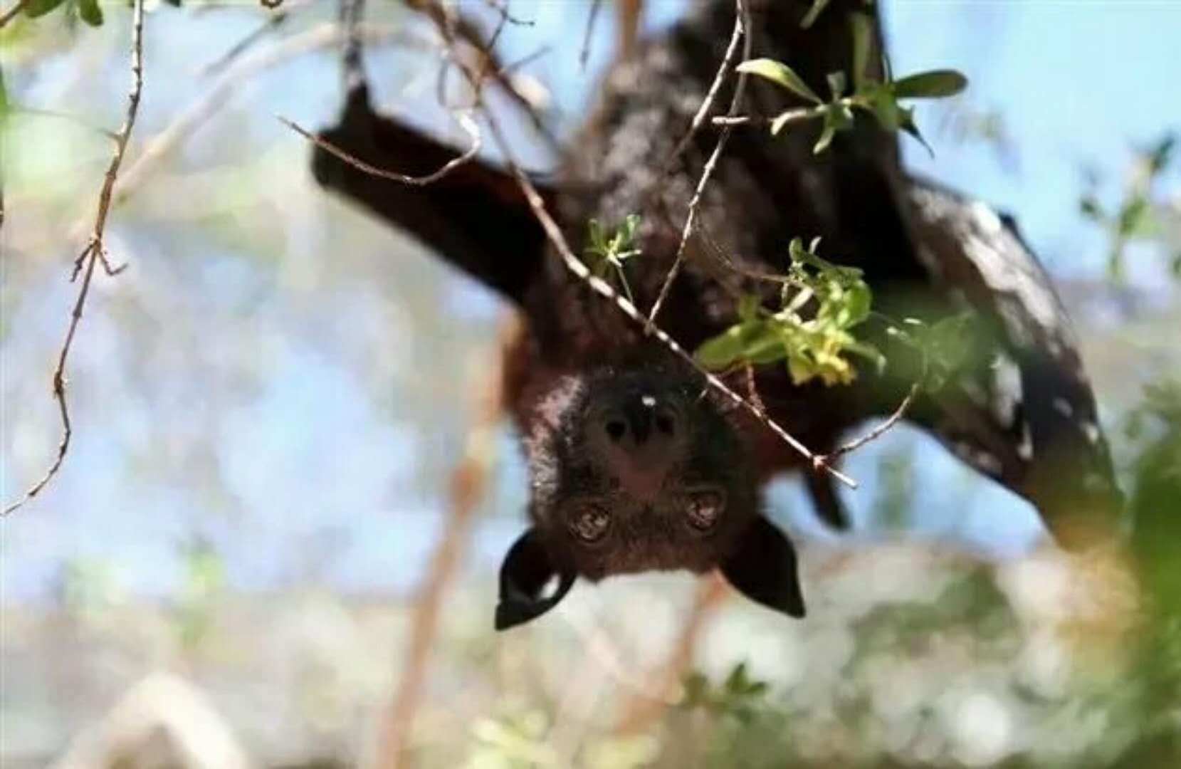 巴厘岛真实的秘境,巴厘岛神秘的海滩