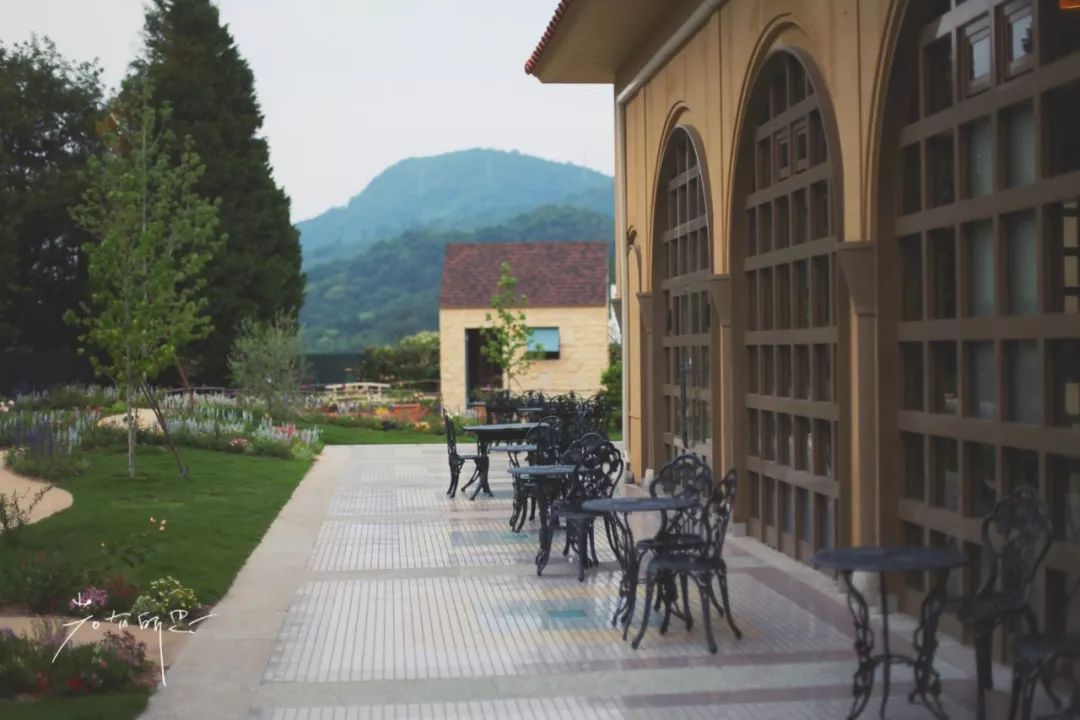 日本的哪个地方中国人不能去,日本什么地方很多中国人