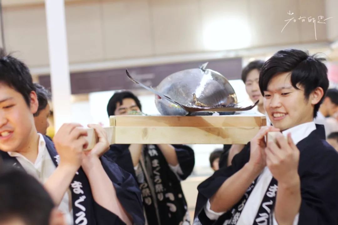 五天四晚适合去哪玩,适合五天四夜清静的旅行