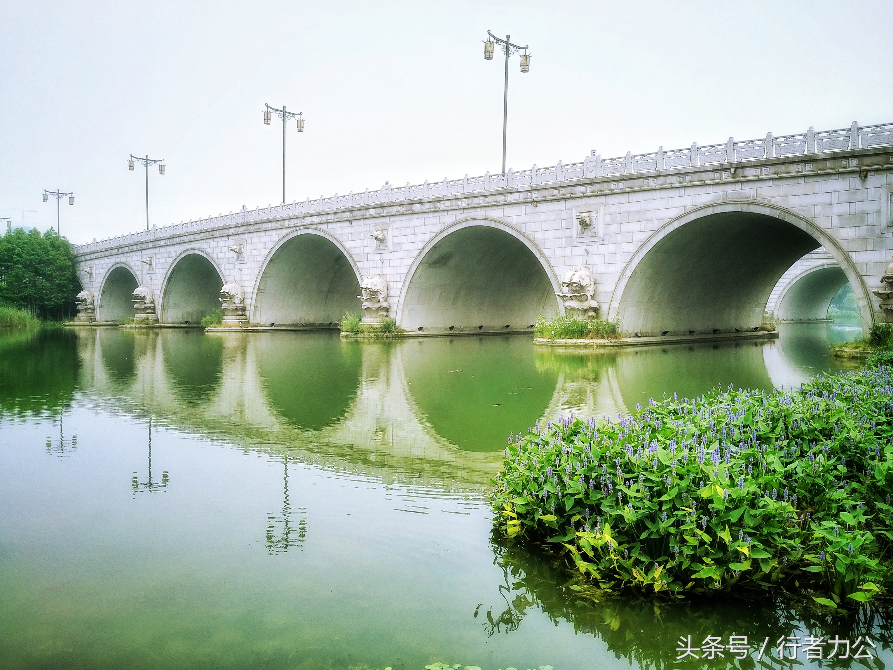 尚贤河湿地公园攻略,尚贤河湿地景点