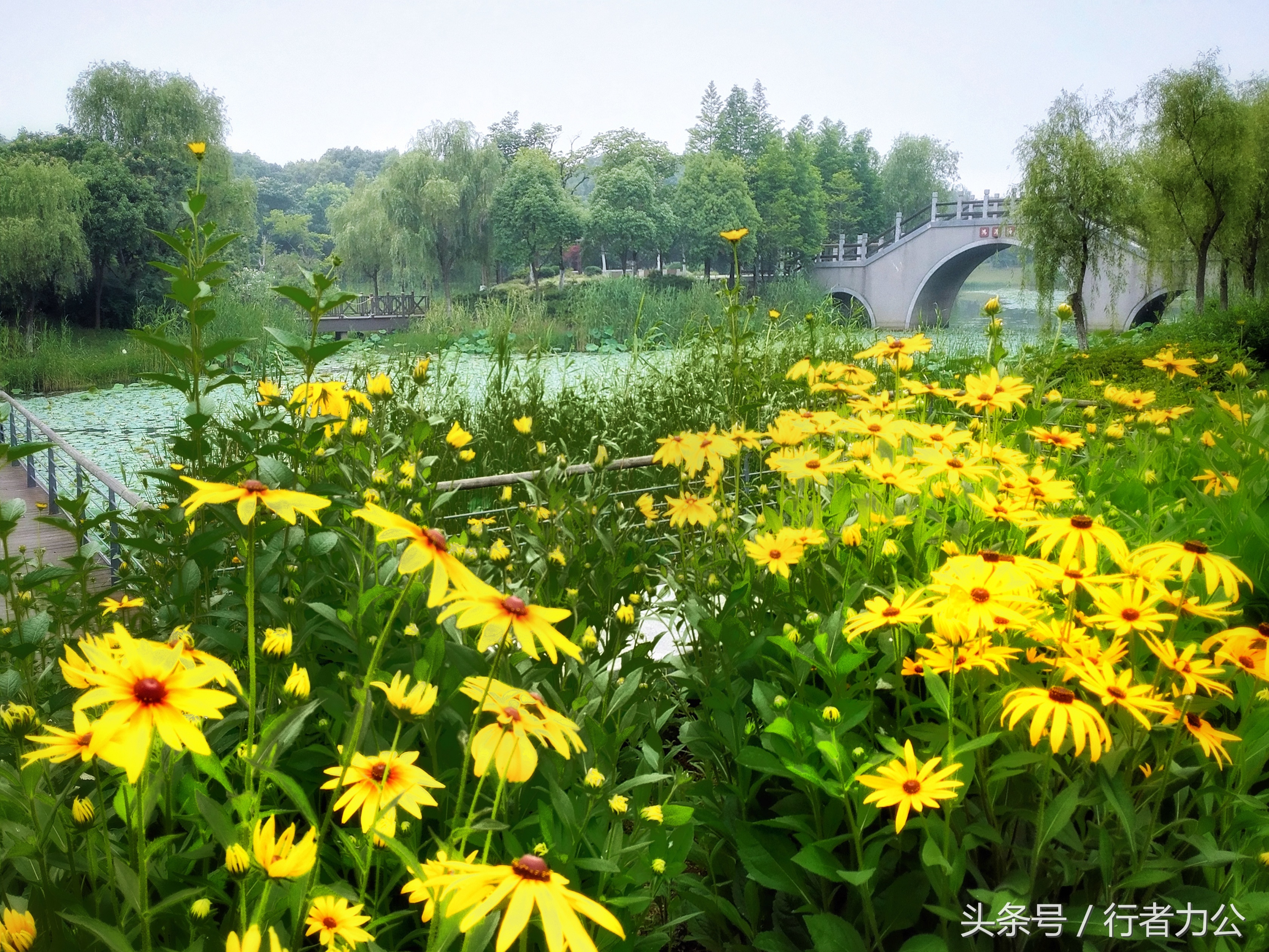 尚贤河湿地公园攻略,尚贤河湿地景点