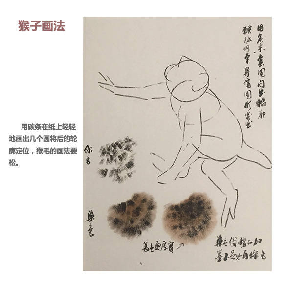 中国画如何画猴子,中国画怎样画猴子