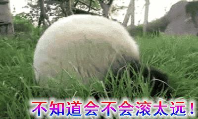 你给我滚出来表情包搞笑图片,给我滚表情图