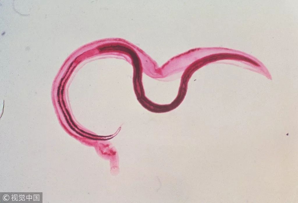 古人说别来无恙该怎么回,古人回复别来无恙