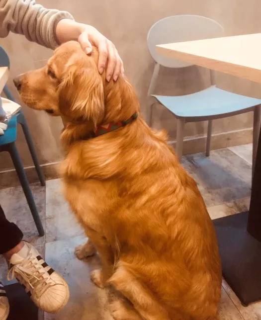 火速召唤嗦粉*党**！*疆新**米粉了解一下！