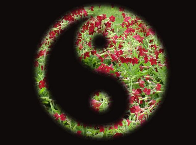 刮痧拔罐身体虚怎么办,刮痧多了会伤阳气怎么办