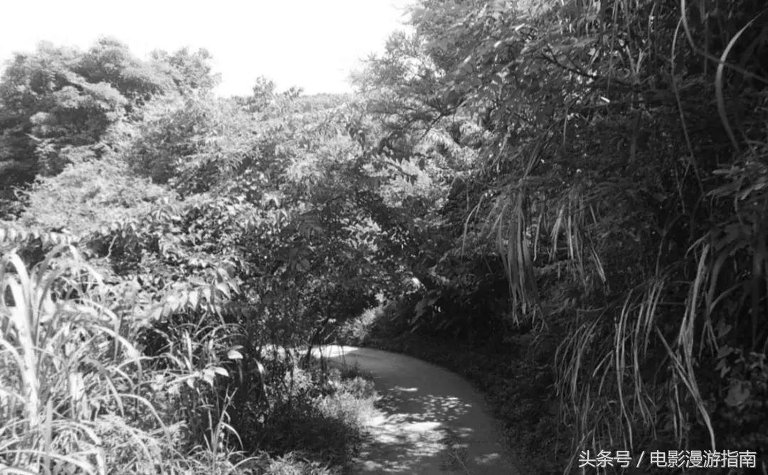 有姑娘出20w让我去香港找条狗，绑匪说：要30w——我Tony还亏了6W