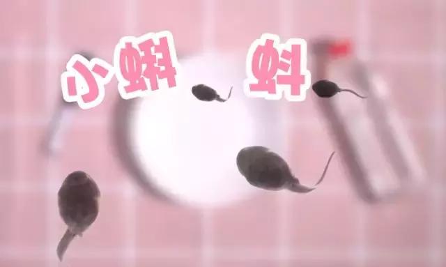 小实验蝌蚪在水里,科学小实验小蝌蚪变青蛙的全过程