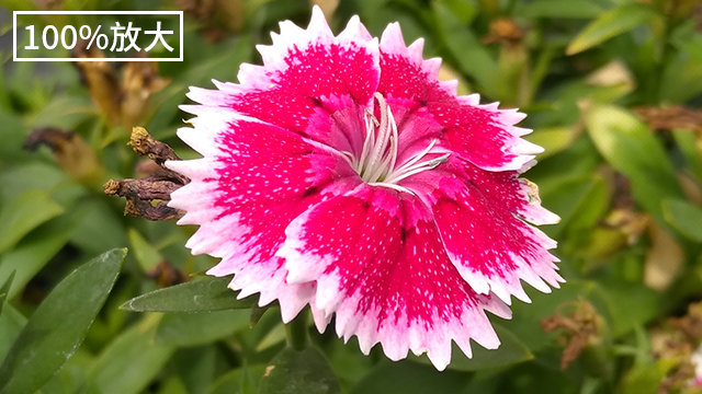 联想k5note是什么型号,联想K5NOTE质量怎么样