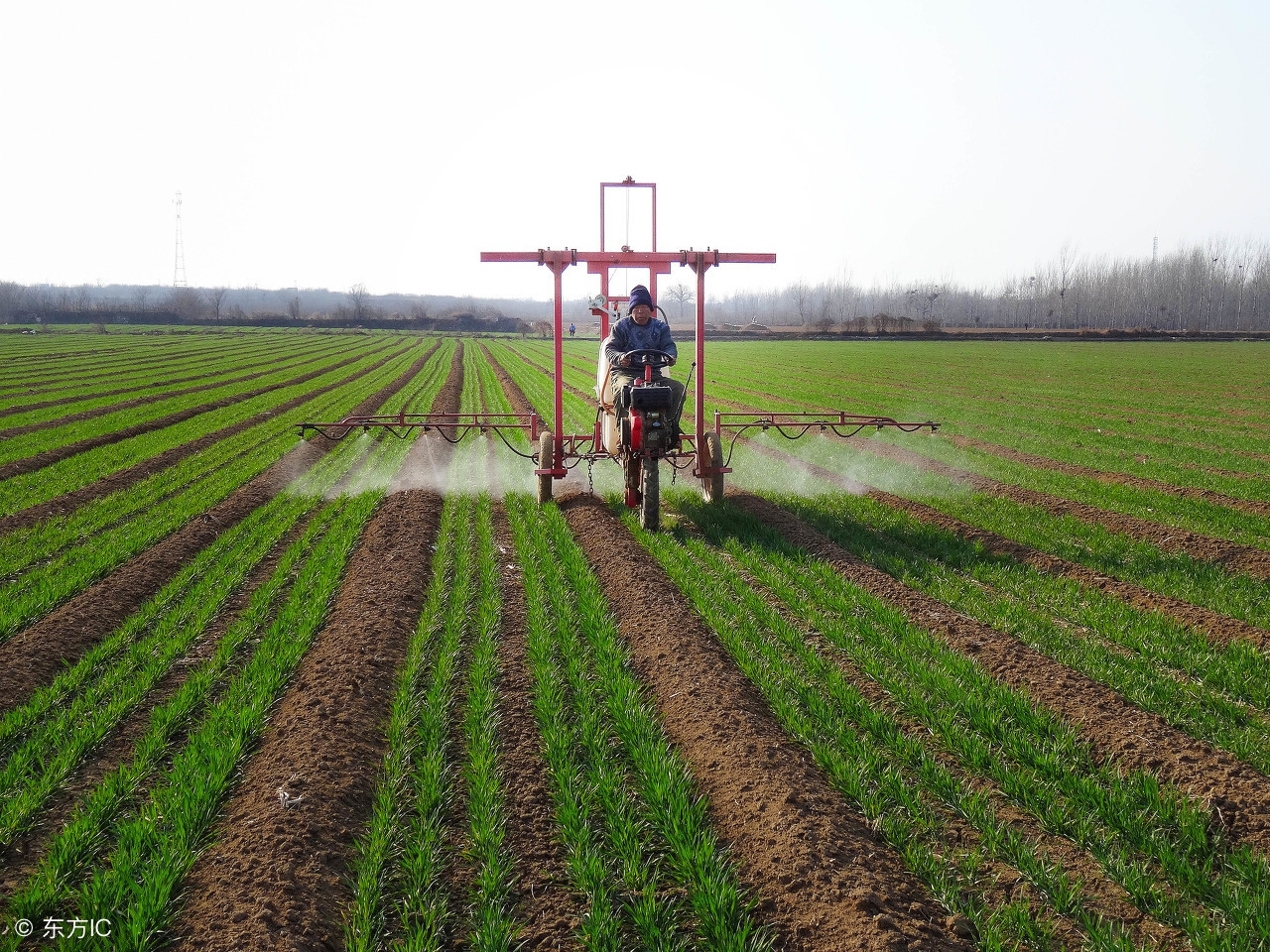 人教版七年级上地理必背知识点,七年级下地理必背知识点pdf