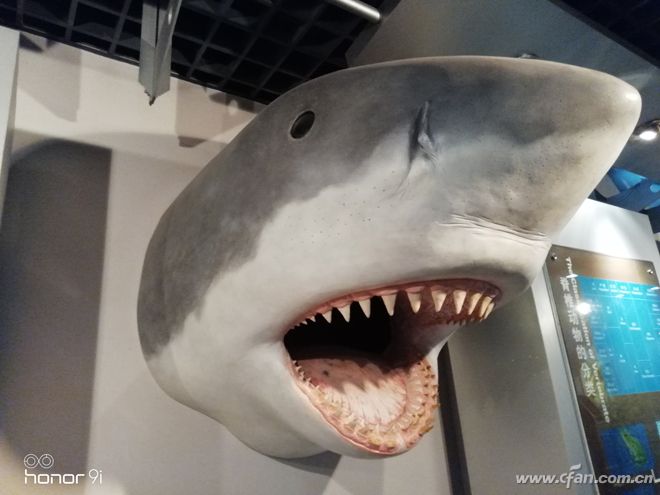 荣耀9i如何升级gpu,荣耀9igputurbo怎么更新