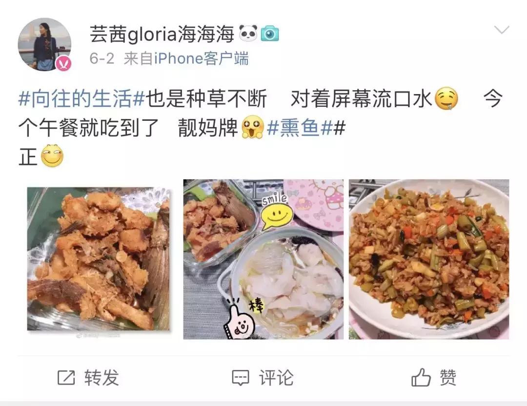 看向往的生活能学会什么,看向往的生活后的感想