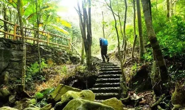 惠州小镇旅游景点推荐,惠州旅游景点小镇推荐