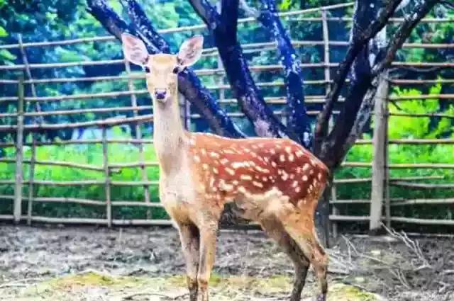 惠州小镇旅游景点推荐,惠州旅游景点小镇推荐