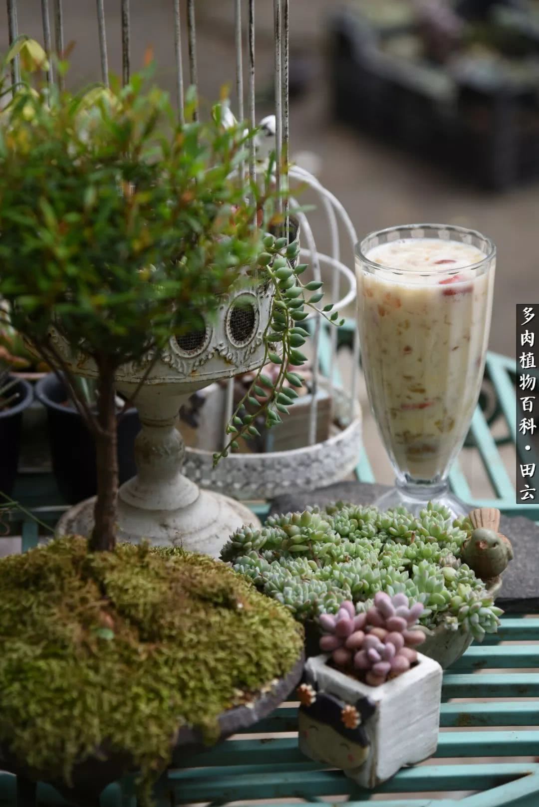 推开世界的门和自己和解,推开世界的门你所看到的风景